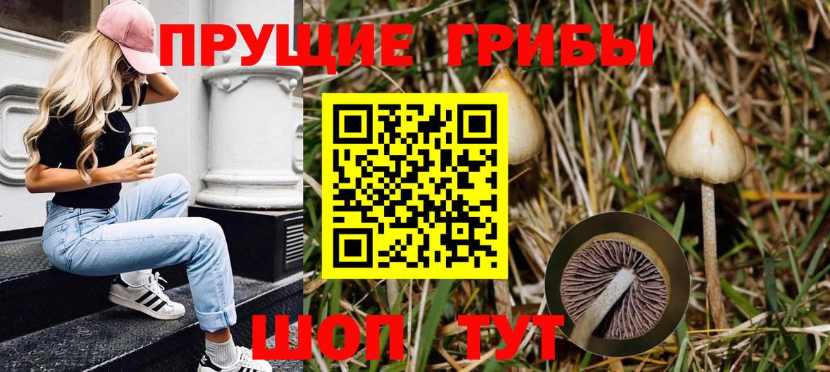 Галлюциногенные грибы мухоморы Батайск
